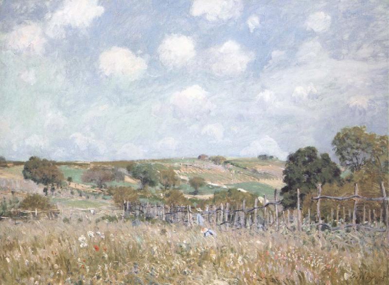 Alfred Sisley Ang France oil painting art